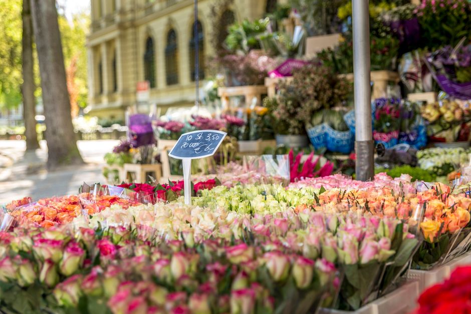 An outdoor flower market displays a variety of fresh floral bouquets arranged in neat rows. The bouquets predominantly feature pastel pink, peach, cream, and light green roses, with some accented by d